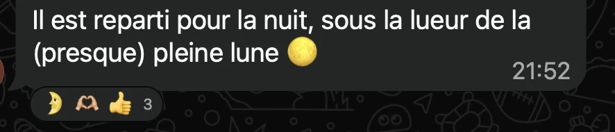 Message du groupe : Il est reparti pour la nuit, sous la lueur de la (presque) pleine lune