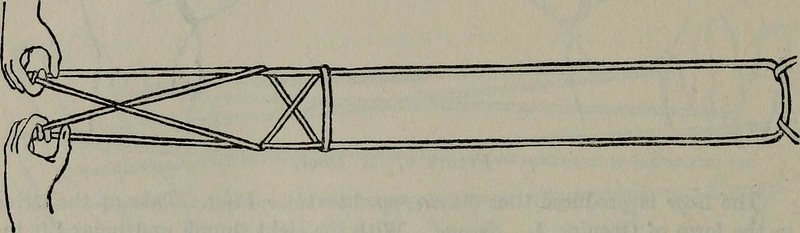 Image from page 383 of "Mathematical recreations and essays" (1920)